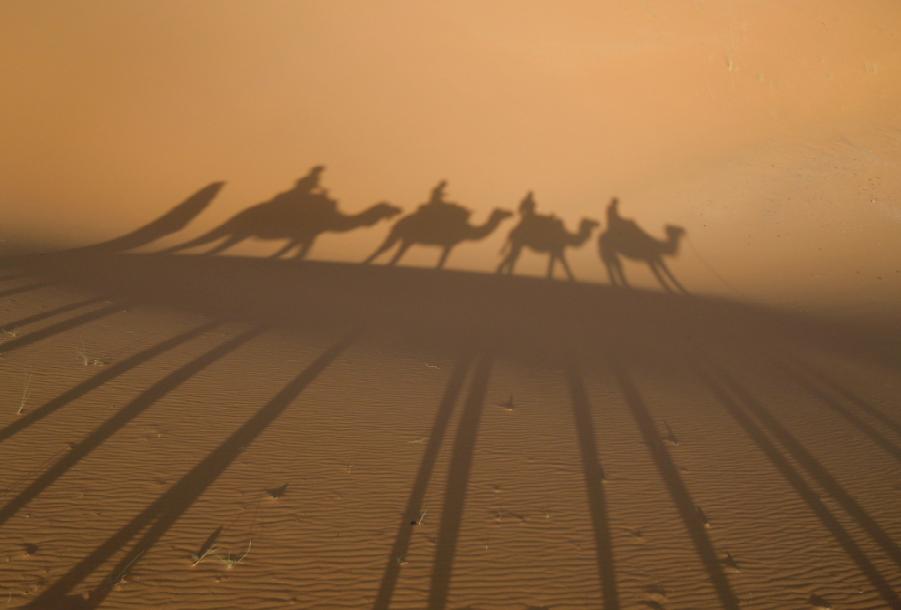 see yourself in top of camel on top of dune camel treks in morocco can come true so make your dream