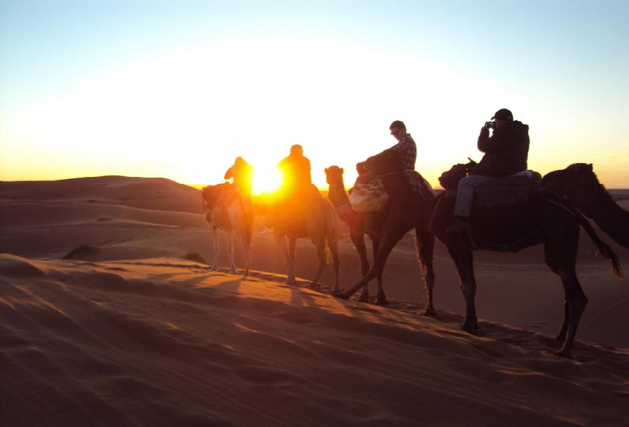 sunset camel ride in the highest dunes of erg chebbi