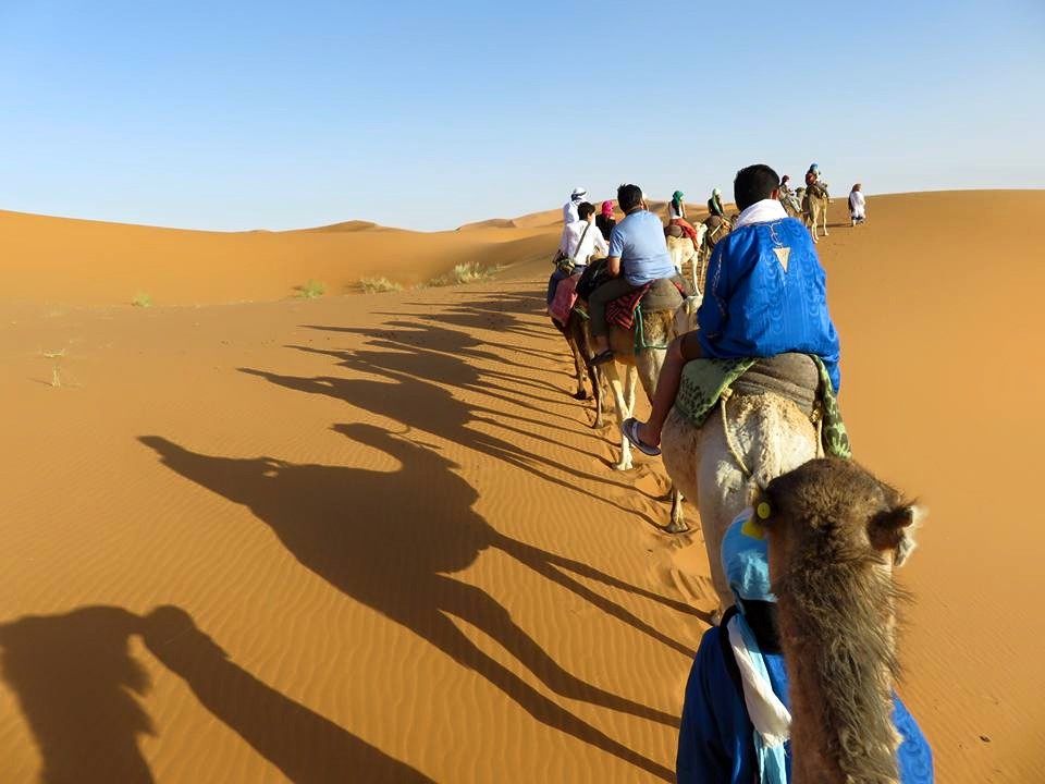 Camel trekking tours at erg chebbi with Sahara desert trips Morocco travels morocco tours